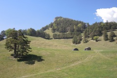 DSCN3501