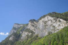 DSCN3506