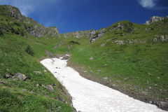 DSCN4919