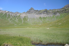 DSCN4944