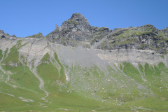 DSCN4950