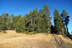DSC05999