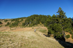 DSC06003