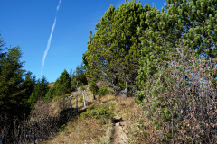 DSC06018