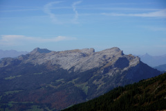 DSC06046