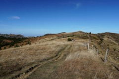 DSC06058