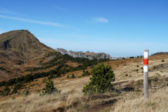 DSC06059