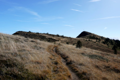 DSC06062
