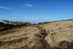 DSC06063