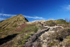 DSC06068