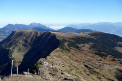 DSC06083