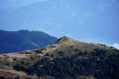 DSC06085