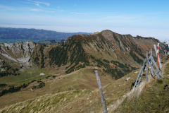 DSC06102