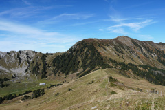 DSC06108