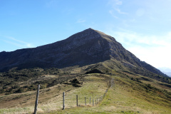DSC06111