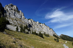 DSC06126
