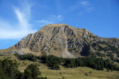 DSC06127