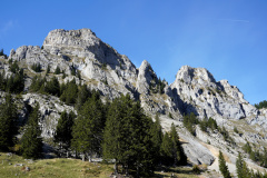 DSC06128