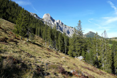 DSC06130
