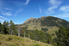 DSC06131