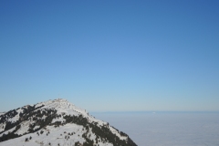 DSCN3086