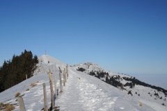 DSCN3103