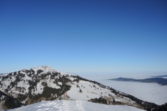 DSCN3126