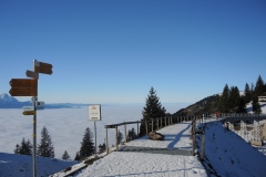 DSCN3134