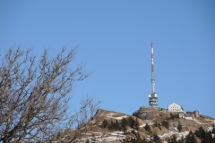 DSCN3140