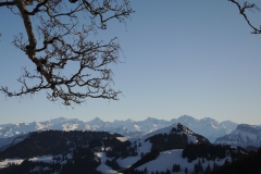 DSCN3142