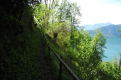DSCN2480