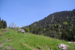 DSCN2484