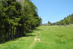 DSCN2486