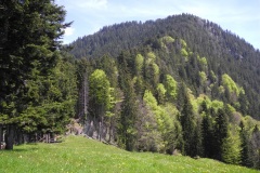 DSCN2487