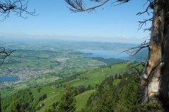 DSCN2491