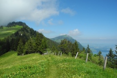 DSCN0672