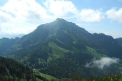 DSCN0677