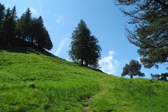 DSCN0682