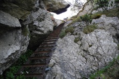 DSCN0697