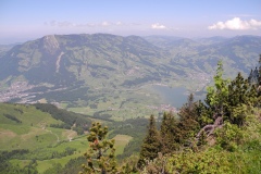 DSCN0711