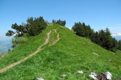 DSCN0712