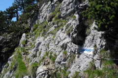 DSCN0721