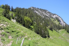 DSCN0727