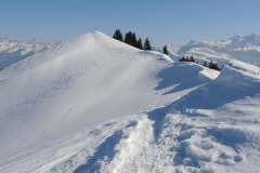 DSCN0509