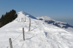 DSCN0518