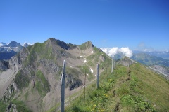 DSCN0932
