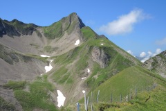 DSCN0934