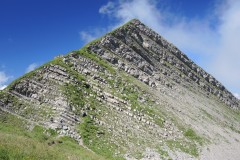 DSCN0935