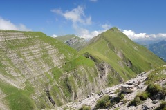 DSCN0938