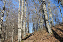 DSCN4346